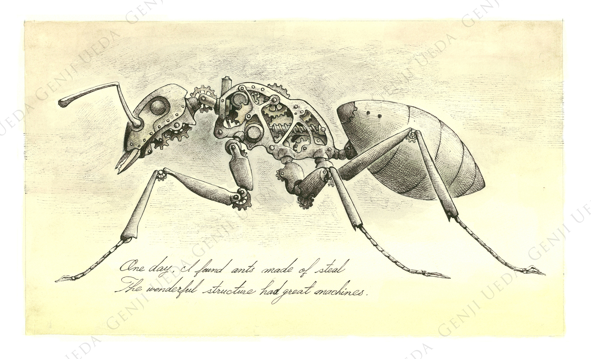 『機械虫　アリ2』2013年　素材：紙／鉛筆／ボールペン／水彩／　■290×170mm